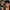 Pixie Cut Wig Cheap Human Hair Wig
