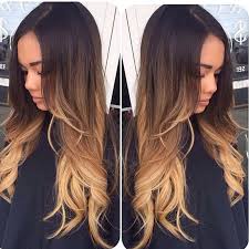 Ombre Two tone Wig