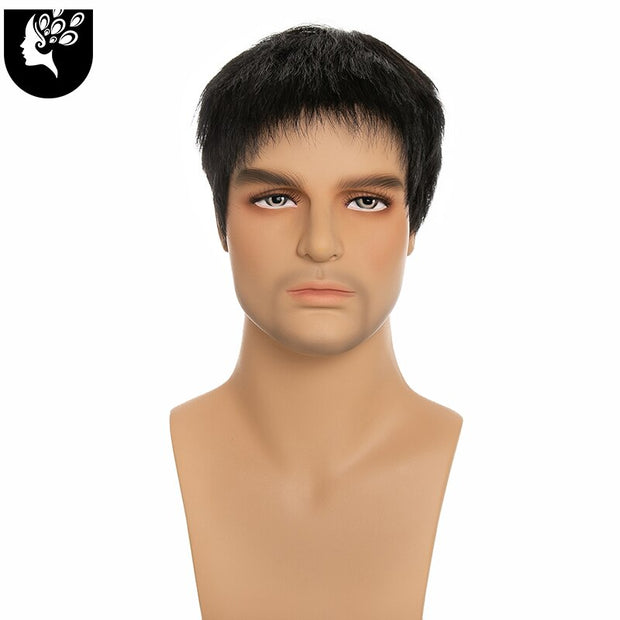 Human Hair Wig for Men