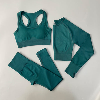Yoga Set Seamless Gym Set Bras + Leggings + Shirts