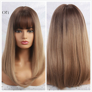 Layered Ombre Wigs With Bangs