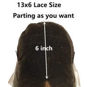 Long Braided Box Braids Wigs