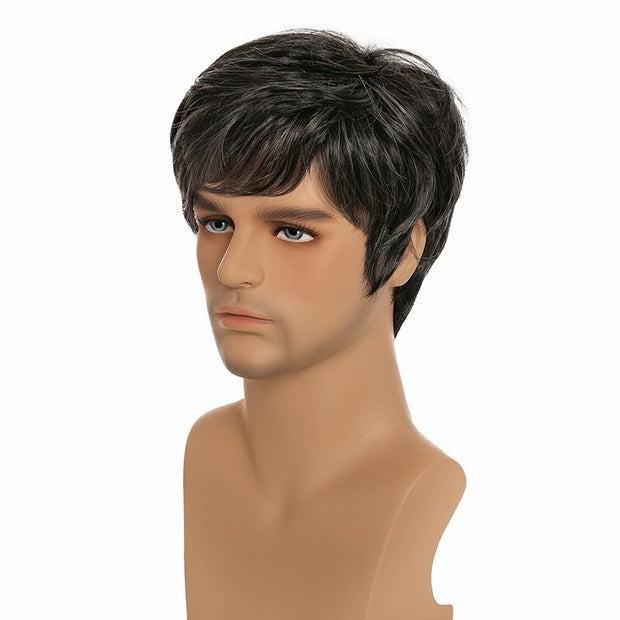 Short Men Wig Straight Toupee Wigs