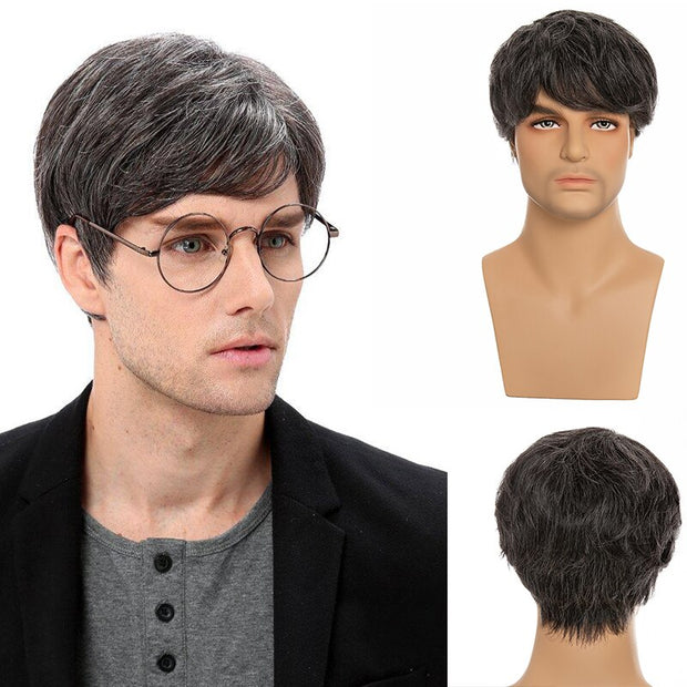 Human Hair Wig for Men