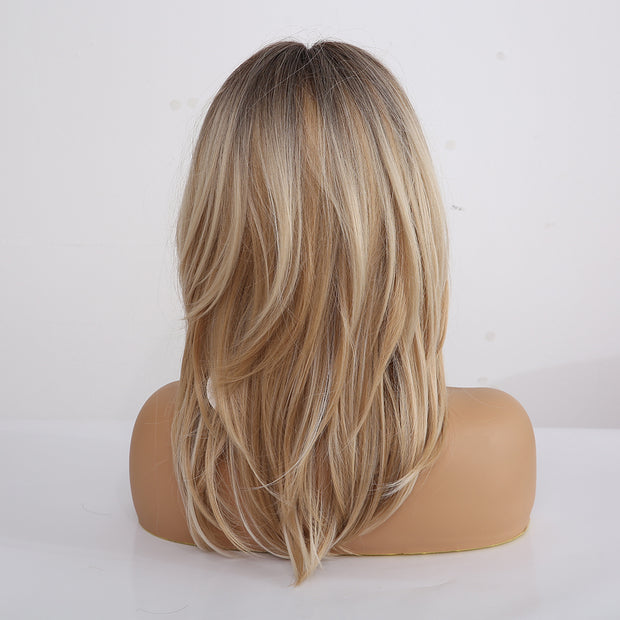 Layered Ombre Wigs With Bangs
