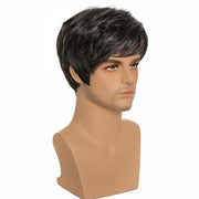 Short Men Wig Straight Toupee Wigs