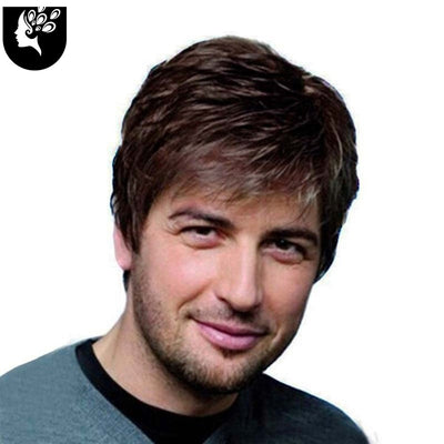 Short Men Wig Straight Toupee Wigs