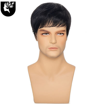 Human Hair Wig for Men